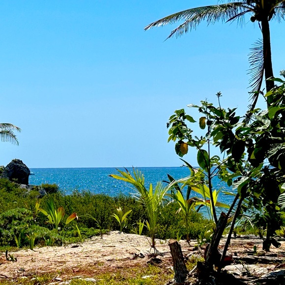 Just a mama who loves to shop - Picture 1 of 1